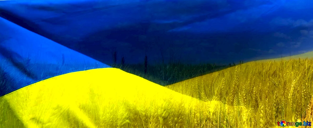 Флаг Украины